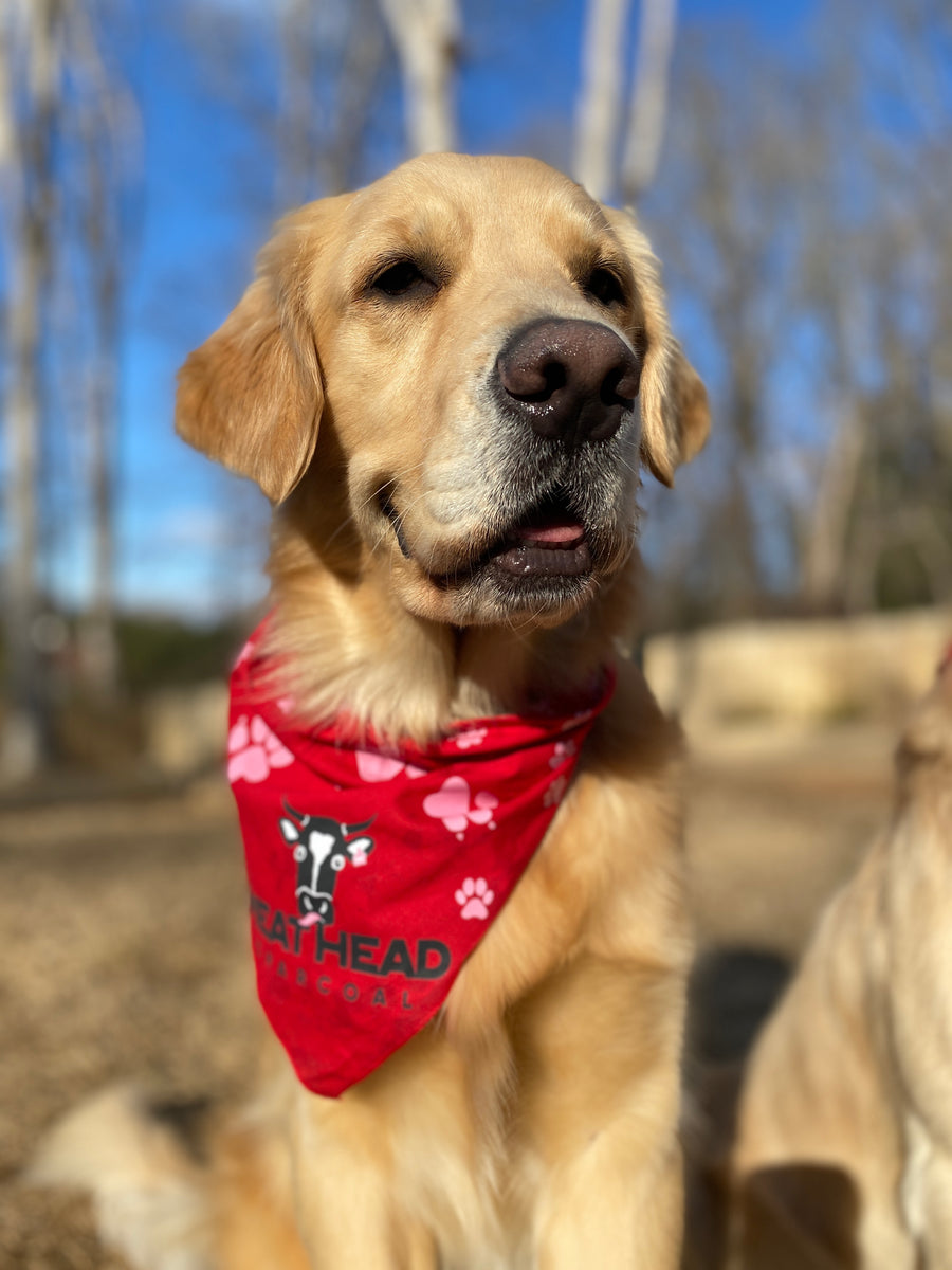 Meat Head "Furry Friend" Bandana